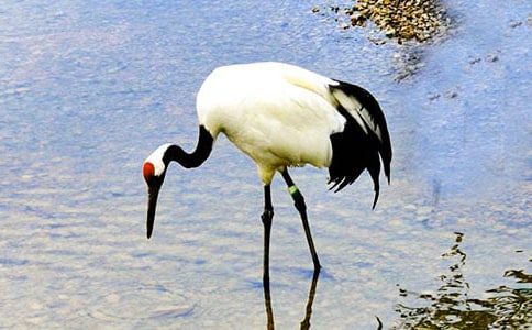 ���꼶�������ĵ����ס���ѧ��Ʒ���