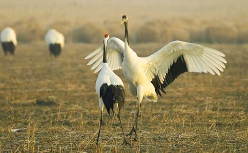 �������ĵ����ס���ѧ��˼15ƪ