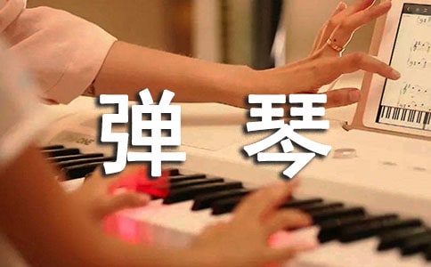 ��ţ����������