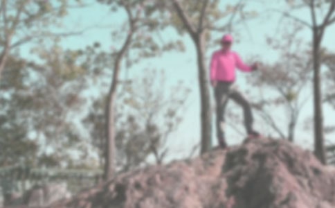 精选登山的作文300字三篇