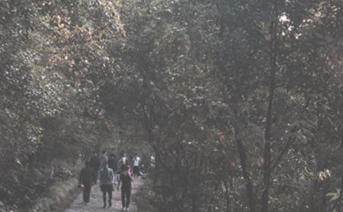 ��ɽ��߻�����