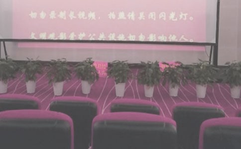 电影院年度总结