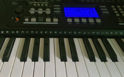 电子琴初二作文