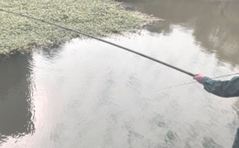 �������ʾ��ѧ��Ʒ���3ƪ