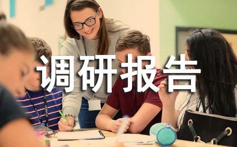 汉字规范的调研报告范文