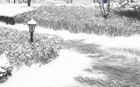 ����ɭ�ַ��������������370��