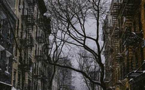 �ս̰����꼶�ϲᡶ���ϵĶ��졷�Ľ�ѧ���