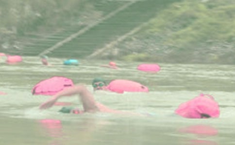 �ഺ�޻�֮��Ӿɢ��