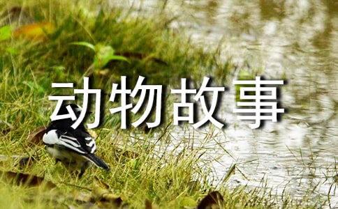 动物故事童话的作文八篇