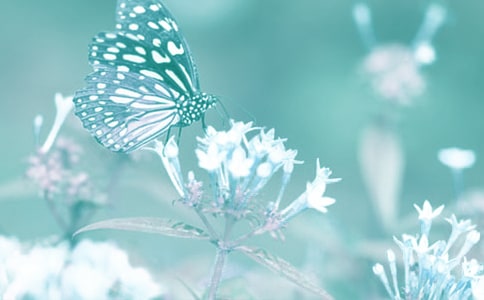 小学生作文动植物的启示