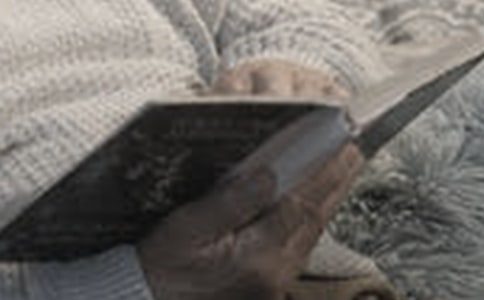 读书会发言稿500字(精选5篇)