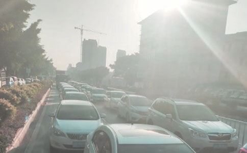 �³�Сѧ���������