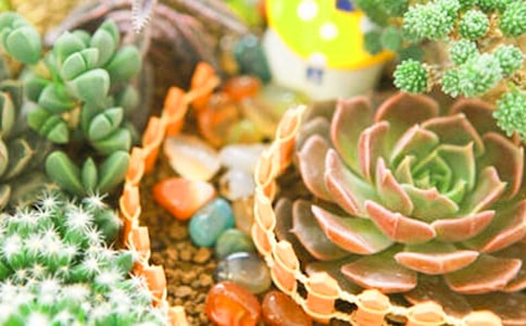 ����۲��ռǽ���ʮƪ