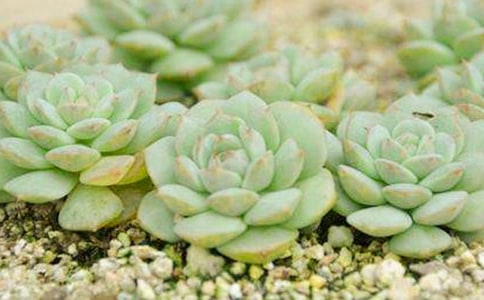 ��д���������