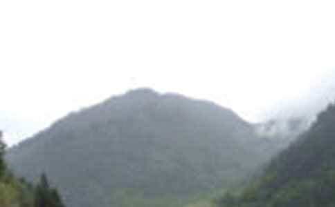 �����Ķ�üɽ���ģ�ͨ��32ƪ��