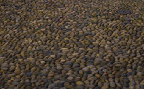 һ�Ŷ���ʯС�����������ģ���ѡ31ƪ��