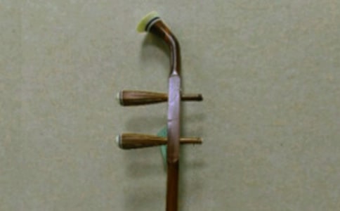 学二胡的经历作文600字范文