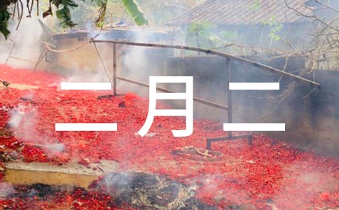 ���żҵĶ��¶�����