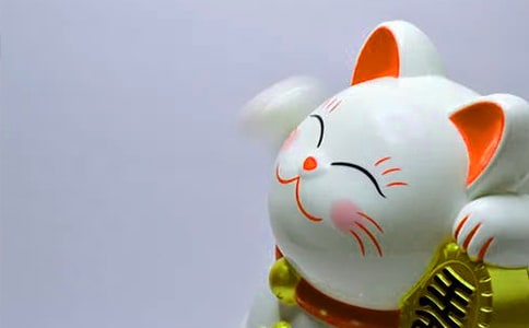 写发财树的作文63篇