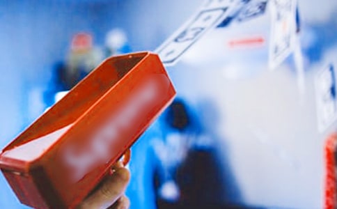 发财树观察日记集锦5篇