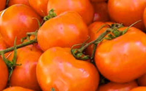 番茄太阳的教学反思