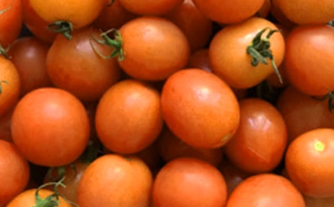 ����̫����ѧ��˼15ƪ