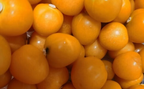 番茄炒蛋作文600字