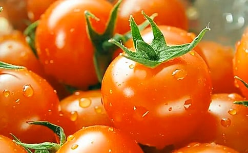 番茄太阳教学设计范文(通用6篇)