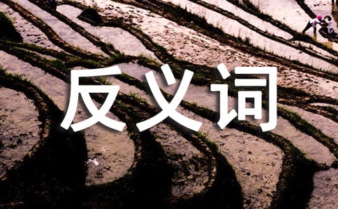 ϲ�õķ����