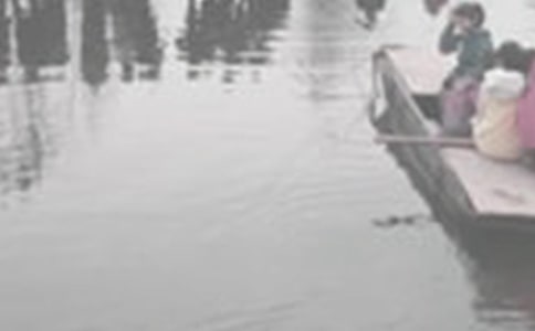 ��������_650��