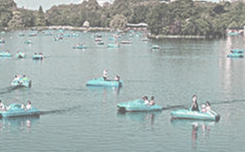 泛舟西湖作文(汇编4篇)