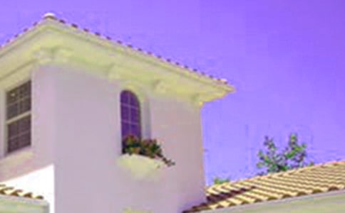 ����������Ư�������ѧ���