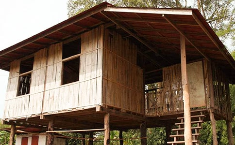 ����������Ư����ѧ��˼