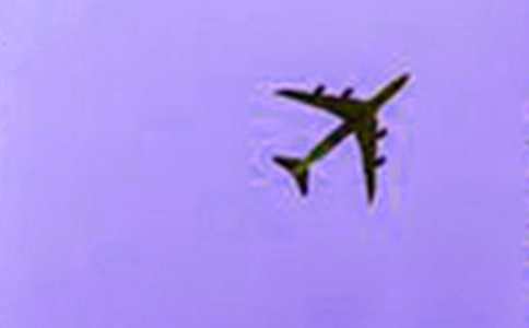 �����ֽ�ɻ��ķ���