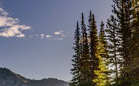 �����ķ羰����ɢ��