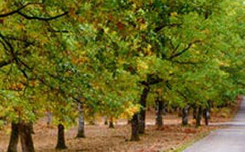 �羰������������400�֣�ͨ��22ƪ��