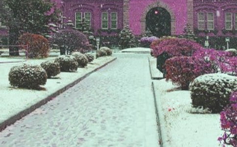 ����ѩ��������Ӧ��Ԥ�����ģ���ѡ6ƪ��