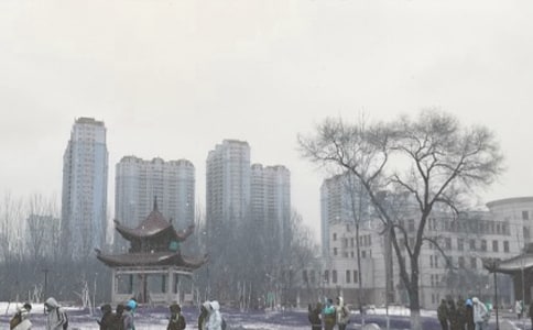 在风雪中傲立-初三作文