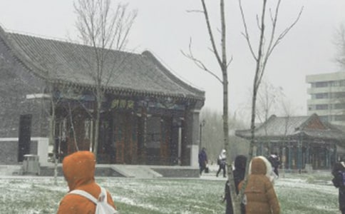 暴风雪防滑防冻的应急预案(精选6篇)