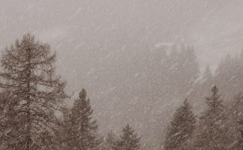 风雪天气应急预案