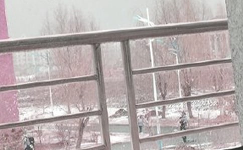 ����ѩ����Ӧ��Ԥ�����ģ�ͨ��20ƪ��