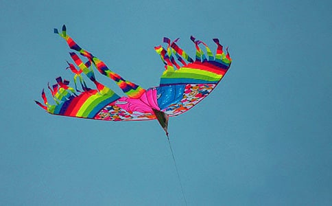 �����������̰�����ѧ��˼�����ݶ��ֶࡷ