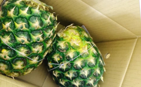 Сѧ��������:�Ұ�����