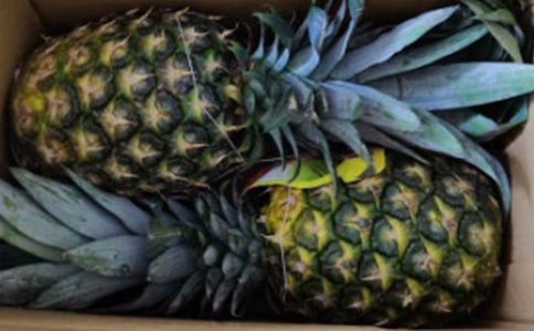 ���滨����ֳ������ע������