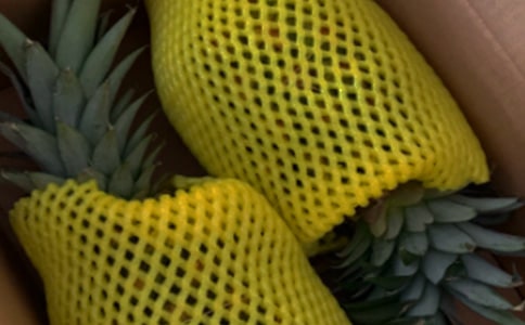 ������������ֳ����