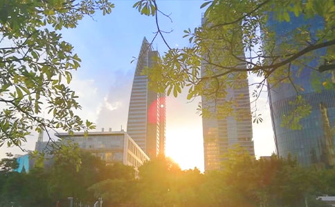 �����ͷ������