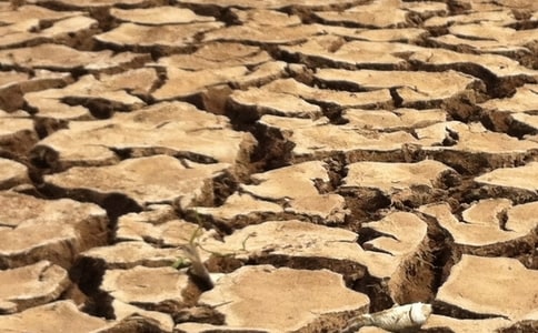 ������λ�Į���͸ɺ������ģ�������ɫ��԰