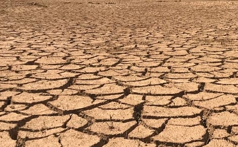 干旱灾害的应急预案范文(通用10篇)