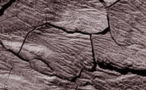 �������ϸɺ������ģ�Сѧ���棩