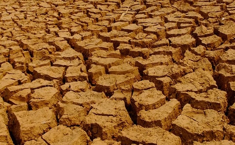 世界防止荒漠化和干旱日:绿色创森美好家园作文